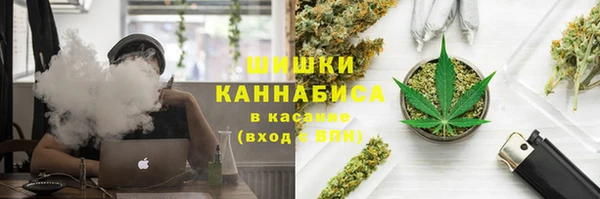 ПСИЛОЦИБИНОВЫЕ ГРИБЫ Алзамай