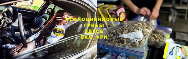 a pvp Алексин