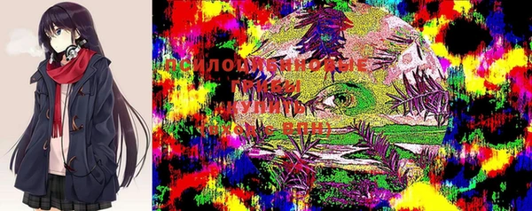 ПСИЛОЦИБИНОВЫЕ ГРИБЫ Алзамай