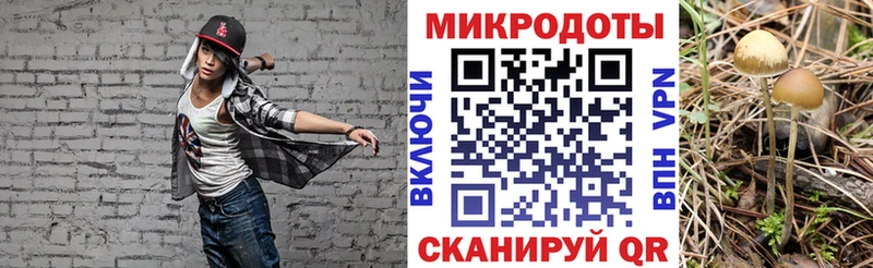 Псилоцибиновые грибы ЛСД  Кола 